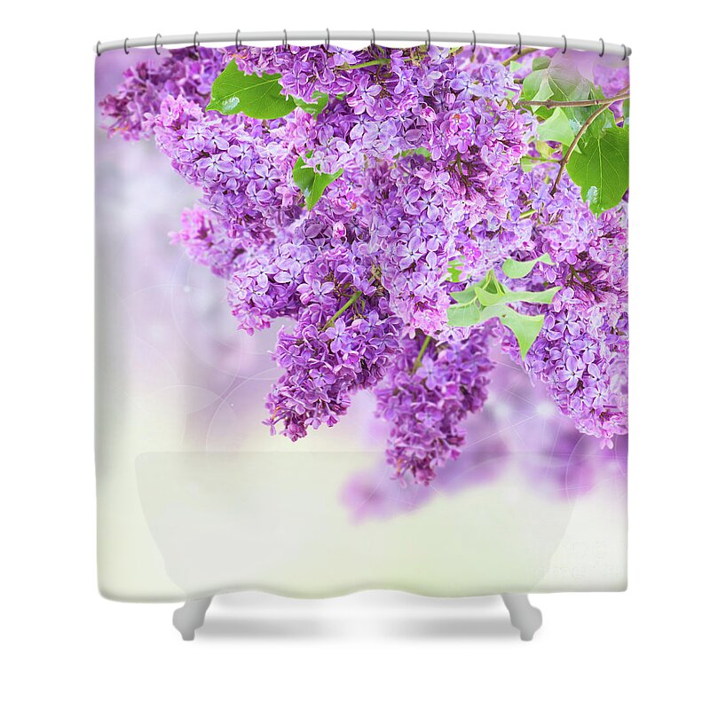 Lilac Shower Curtain featuring the photograph Bush of Lilac #3 by Anastasy Yarmolovich