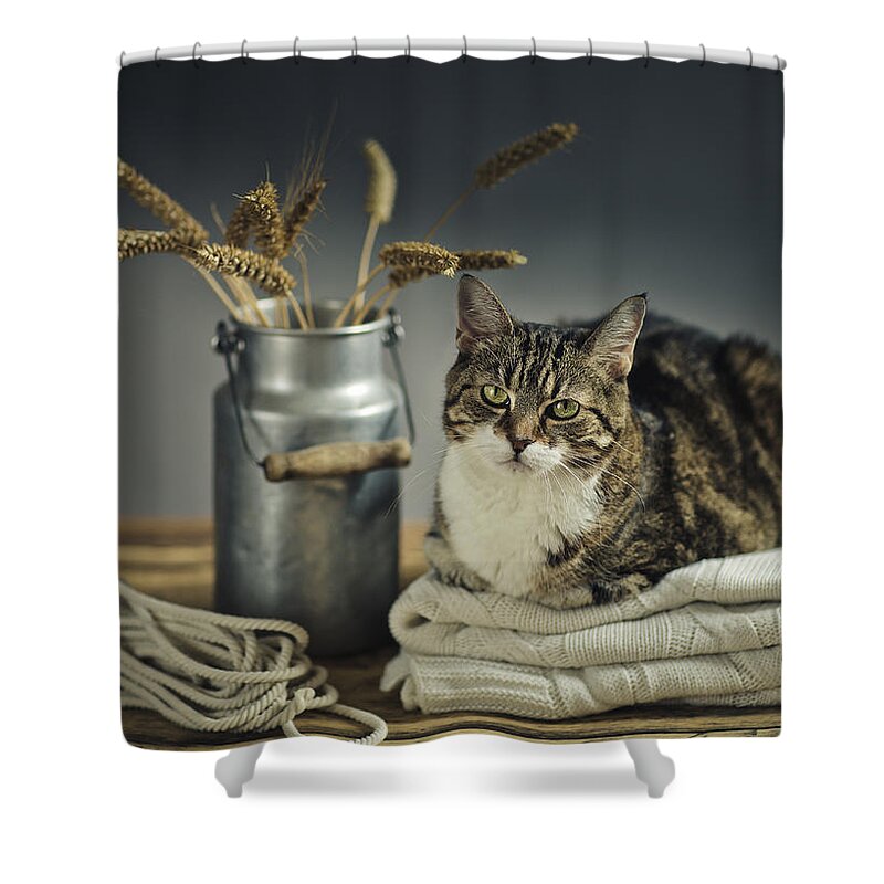 Cat Shower Curtain featuring the photograph Cat Portrait by Nailia Schwarz