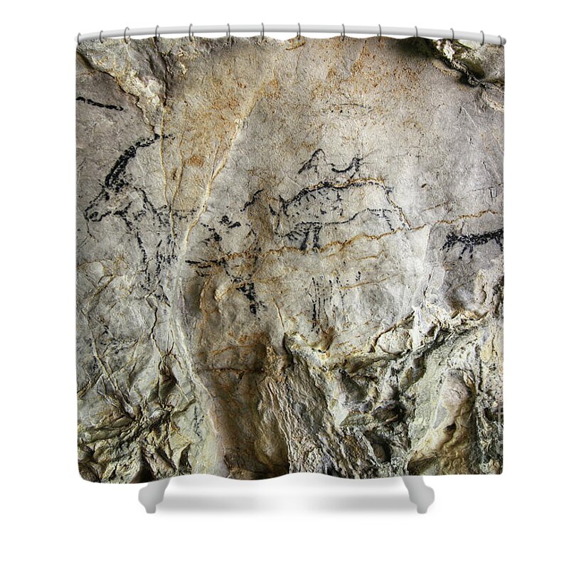 Aboriginal Shower Curtain featuring the photograph Cave painting in prehistoric style #2 by Michal Boubin