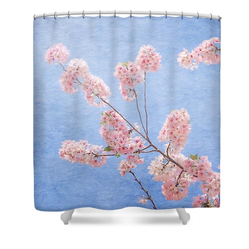 Cherry Blossom Shower Curtain featuring the photograph Cherry Blossoms #2 by Kim Hojnacki