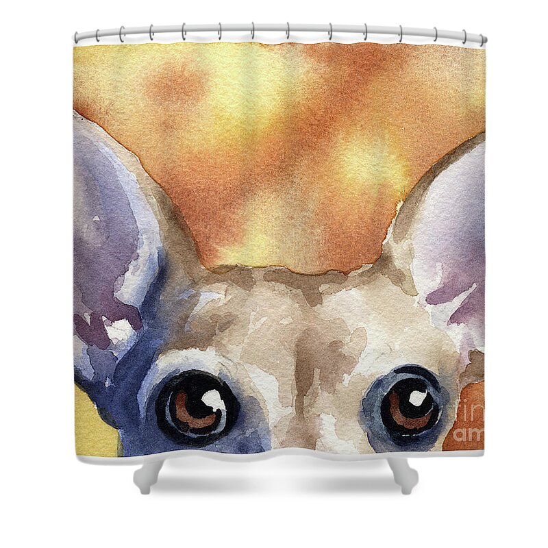 Chihuahua Shower Curtain featuring the painting Chihuahua by David Rogers