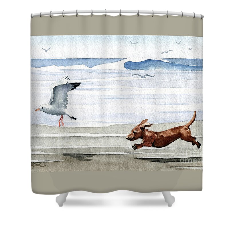 Dachshund Running Playing Seagull Beach Ocean Waves Shore Pet Dog Breed Canine Art Print Artwork Painting Watercolor Gift Gifts Picture Shower Curtain featuring the painting Dachshund at the Beach by David Rogers