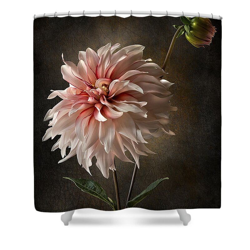 Endre Shower Curtain featuring the photograph Dahlia #2 by Endre Balogh