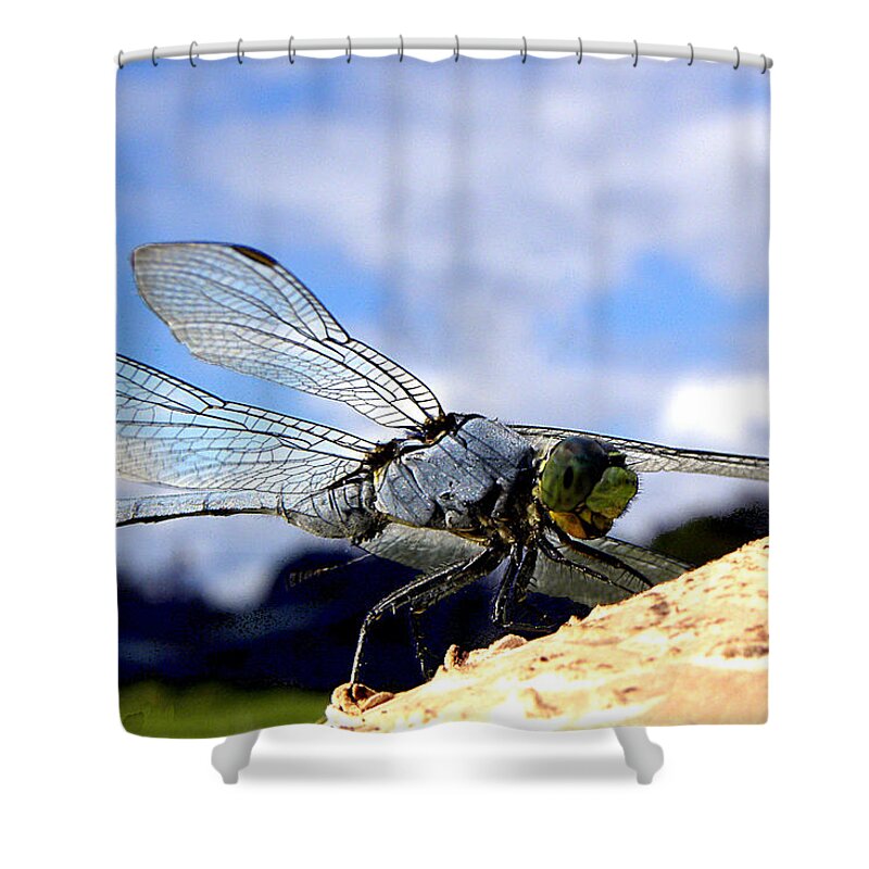 Dragonfly Shower Curtain featuring the photograph Dragonfly on a mushroom 001 #2 by Christopher Mercer