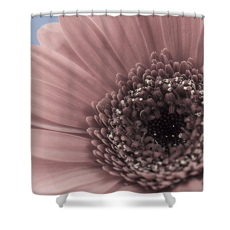 Flower Shower Curtain featuring the photograph Flowers #2 by John Paul Cullen