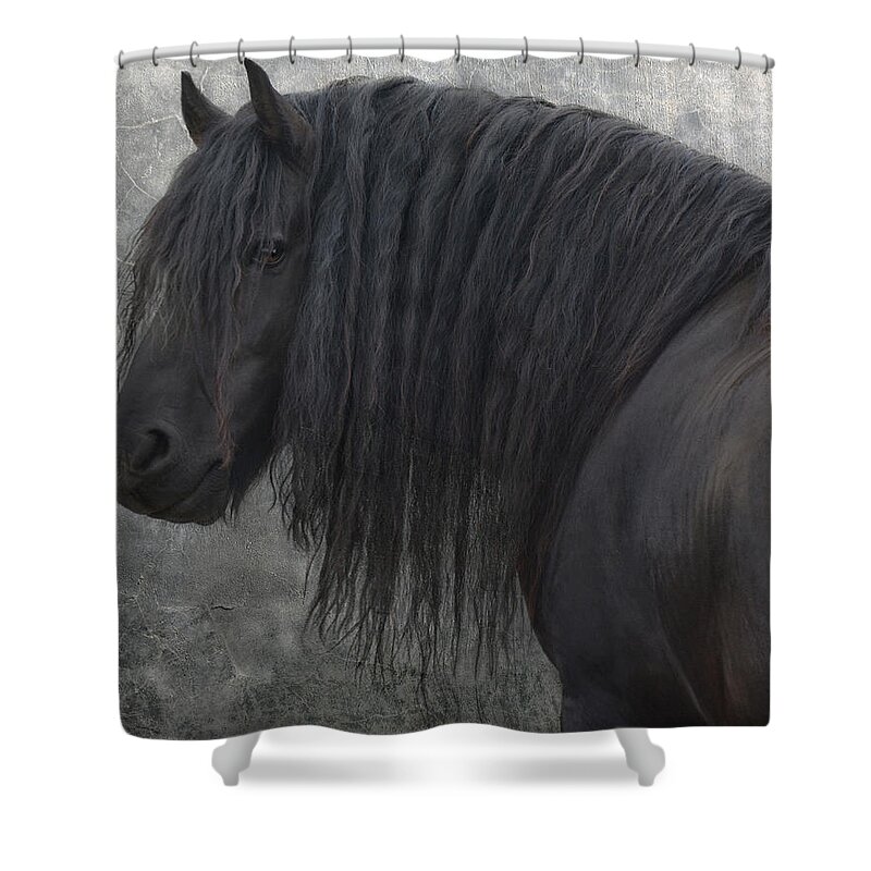 Animals Shower Curtain featuring the photograph Frisian Stallion #2 by Joachim G Pinkawa