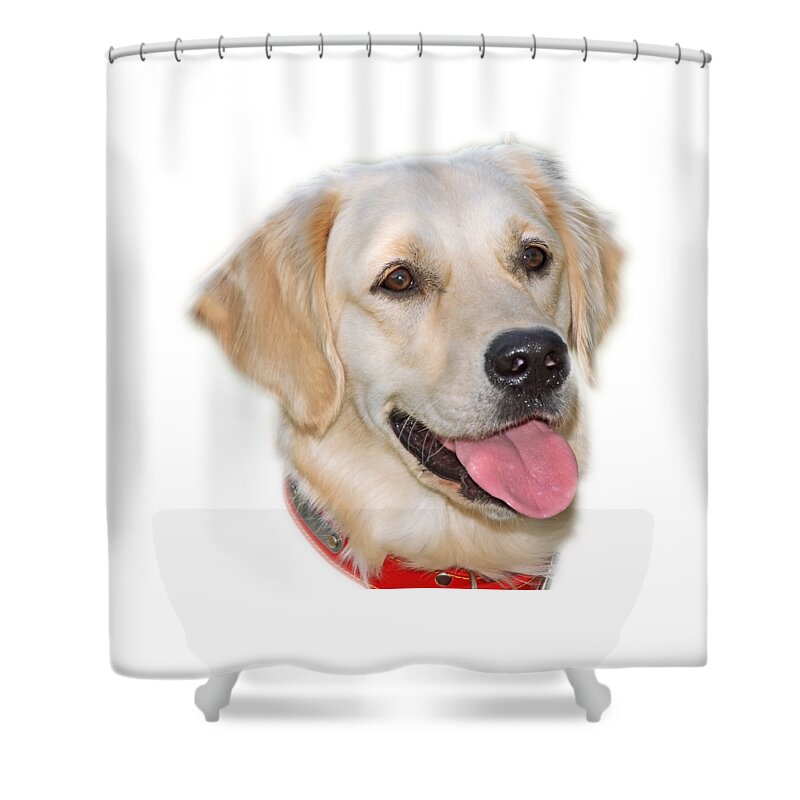 Dog; Golden Retriever Shower Curtain featuring the photograph Golden Retriever #2 by George Atsametakis