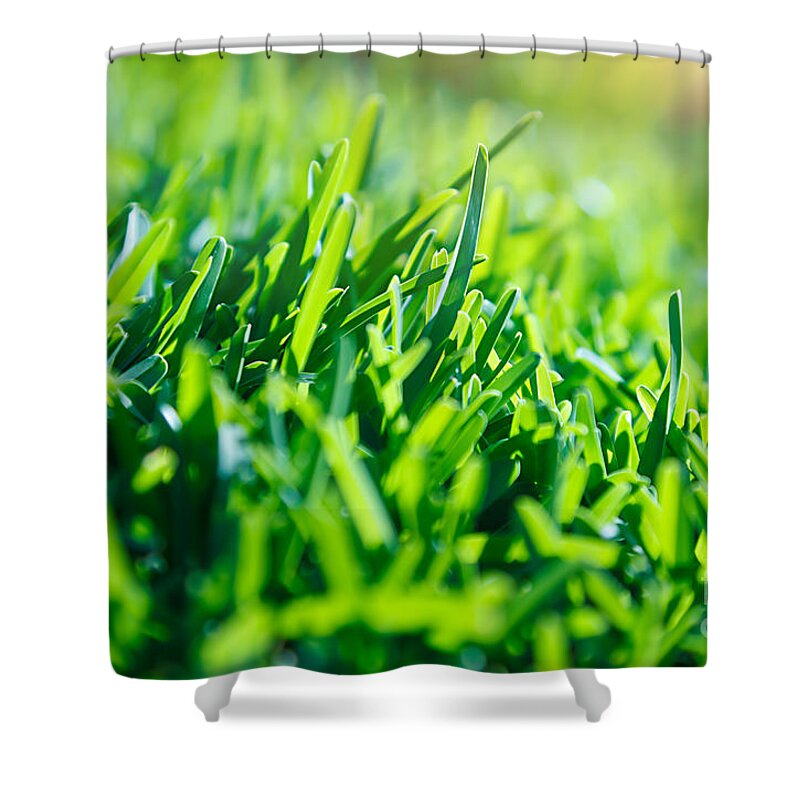 Abstract Shower Curtain featuring the photograph Green grass background #2 by Anna Om