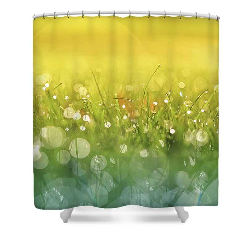 Here Comes The Sun Shower Curtain featuring the photograph Here Comes the Sun #2 by Rachel Cohen