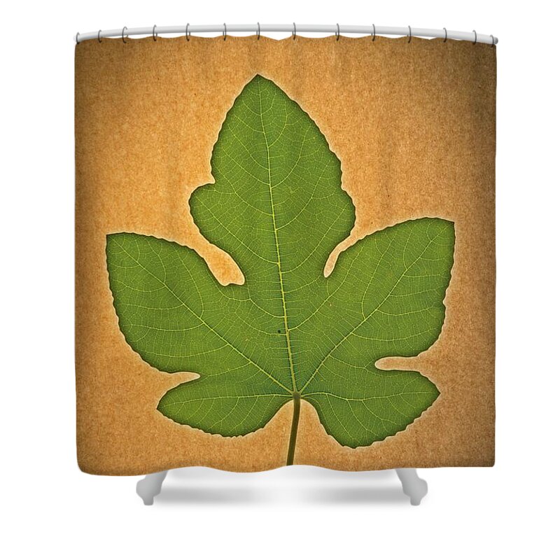 I Photographed This Italian Honey Fig Leaf In Early November Shower Curtain featuring the photograph Italian Honey Fig Leaf #2 by Frank Wilson