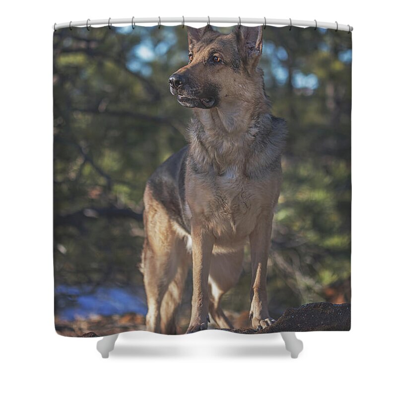 Animal Shower Curtain featuring the photograph Liesl #2 by Brian Cross