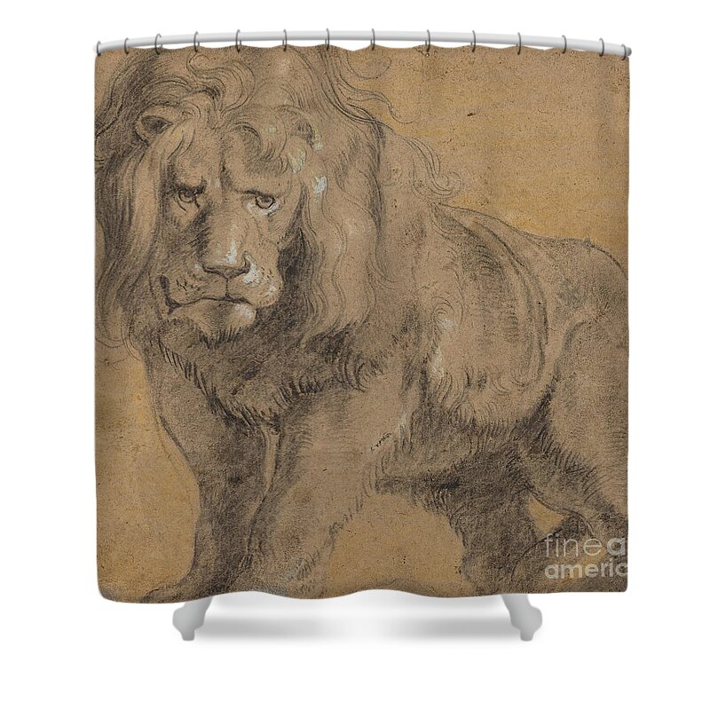 Designs Similar to Lion by Peter Paul Rubens
