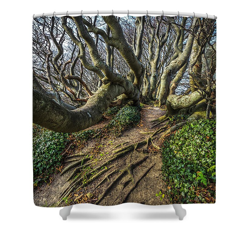 Forest Shower Curtain featuring the photograph Magic Forest #2 by Elmer Jensen