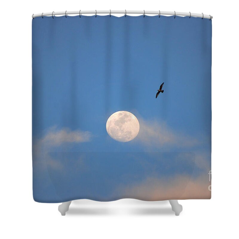  Moon Shower Curtain featuring the photograph 2- Moon Bird by Joseph Keane