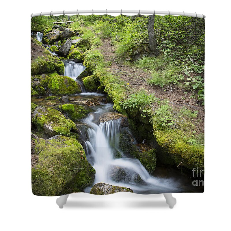 Alberta Shower Curtain featuring the photograph Mountain Stream #2 by Idaho Scenic Images Linda Lantzy