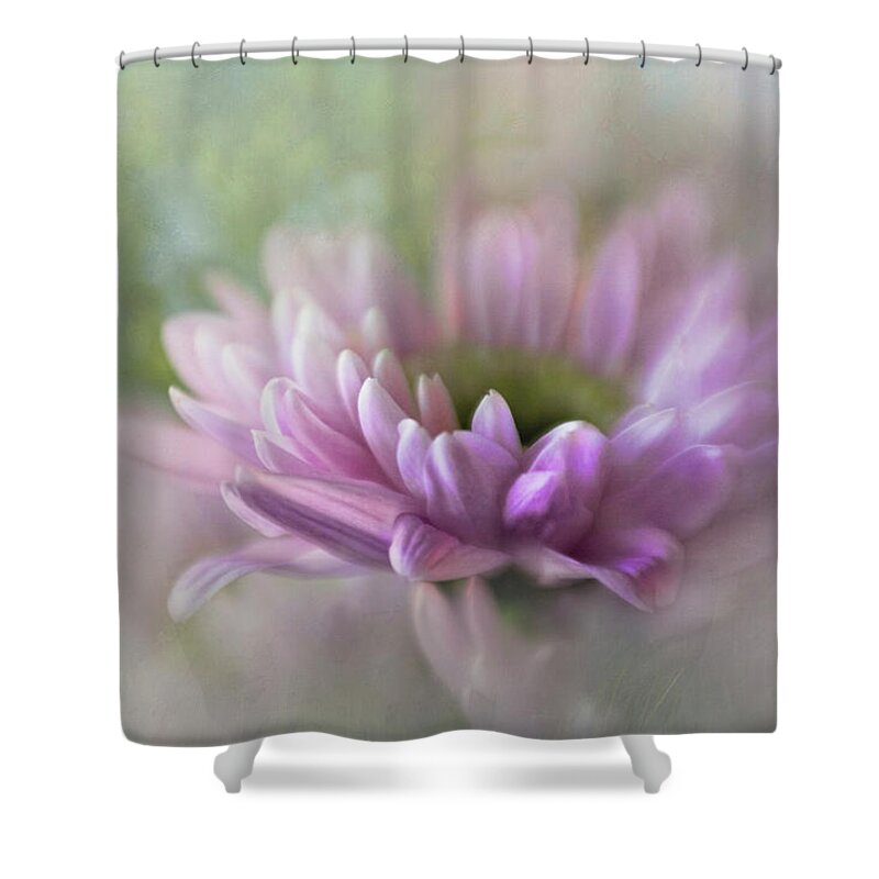 Bloom Shower Curtain featuring the photograph Mums The Word #2 by David and Carol Kelly