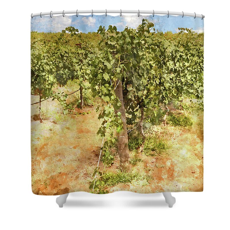  Sky Shower Curtain featuring the photograph Napa Vineyard in the Spring #2 by Brandon Bourdages