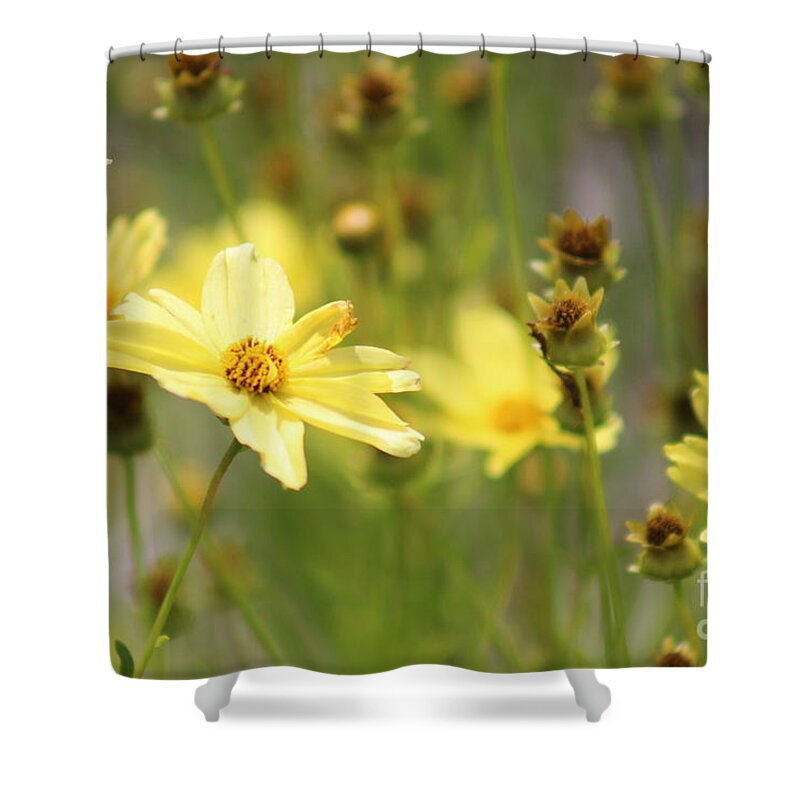 Yellow Shower Curtain featuring the photograph Nature's Beauty 68 by Deena Withycombe
