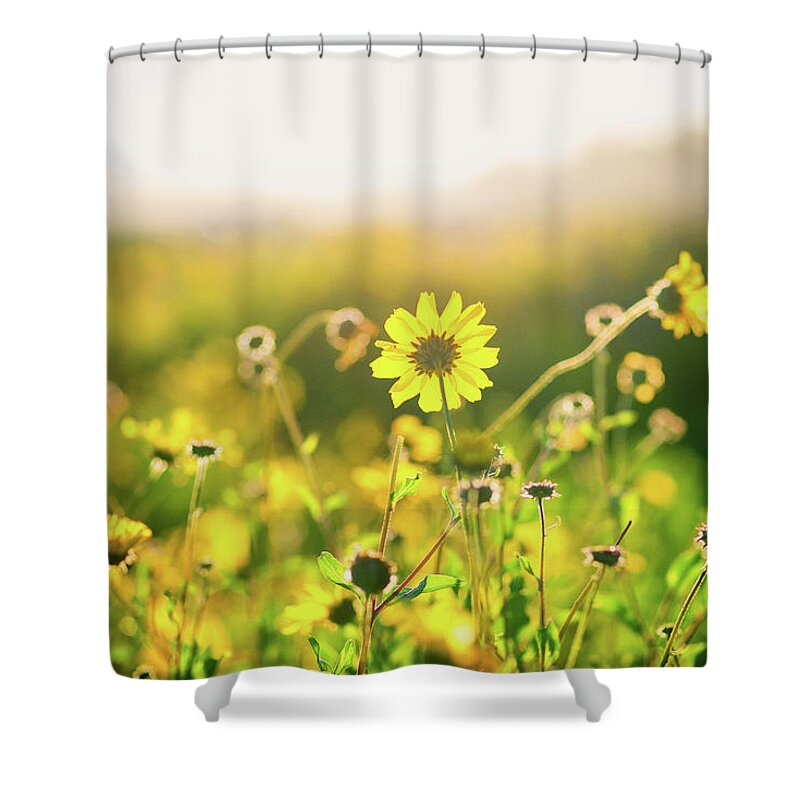 Flower Shower Curtain featuring the photograph Nature's Bright Smile by Joseph S Giacalone