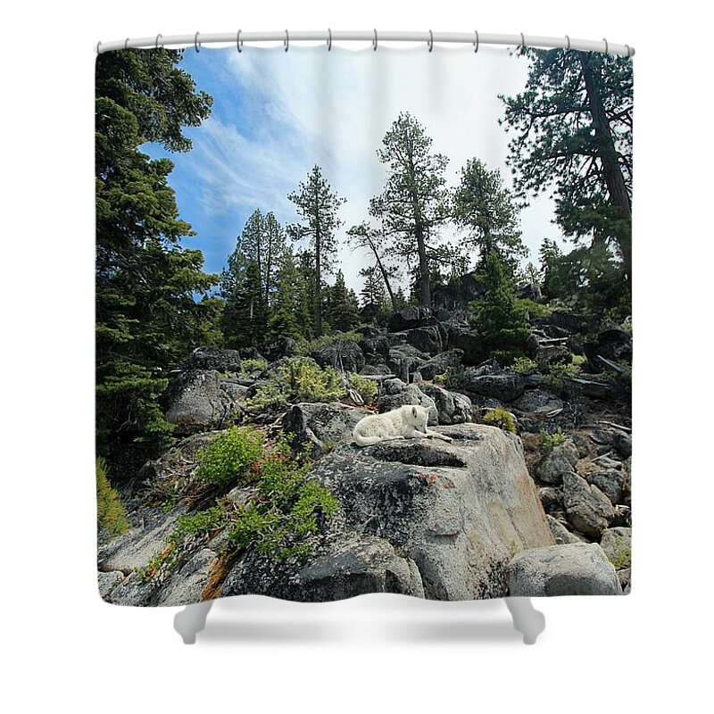 Lake Tahoe Shower Curtain featuring the photograph One With Nature #3 by Sean Sarsfield