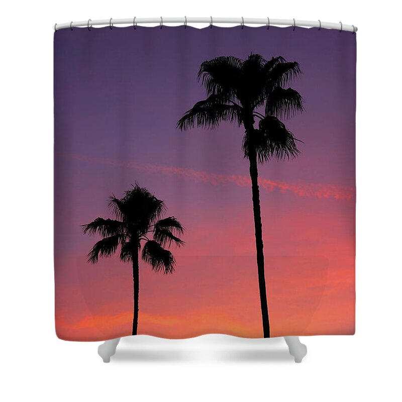Palm Shower Curtain featuring the photograph 2 Palm Trees and the Moon by Erick Schmidt