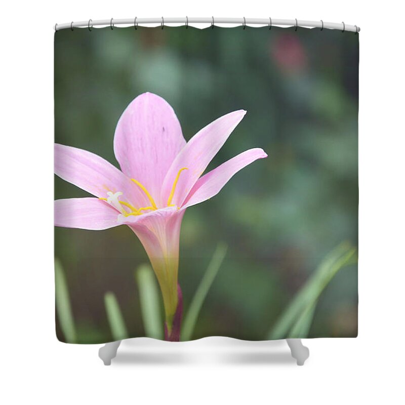 Pink Shower Curtain featuring the photograph Pink Flower #2 by Gordana Stanisic
