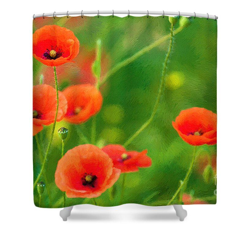 Poppies Shower Curtain featuring the photograph Poppies #3 by Andrew Michael