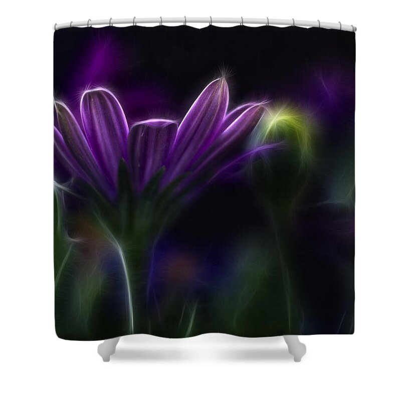 Abstract Shower Curtain featuring the photograph Purple Daisy by Stelios Kleanthous