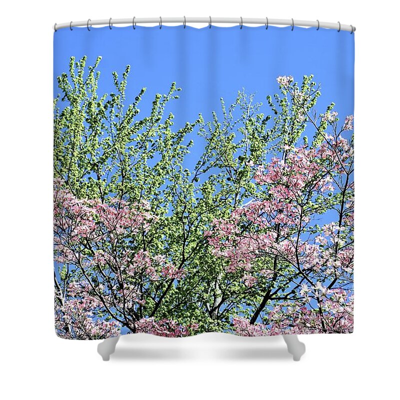 Flowers Shower Curtain featuring the photograph Springtime in Louisville by Merle Grenz