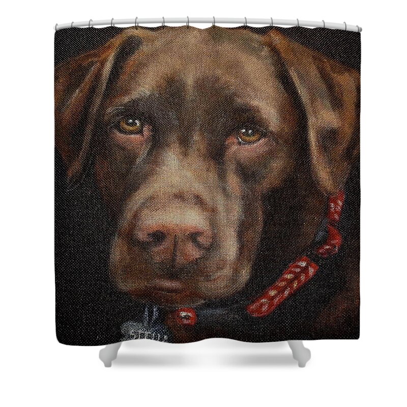 Chocolate Labrador Shower Curtain featuring the painting Stella #2 by Carol Russell