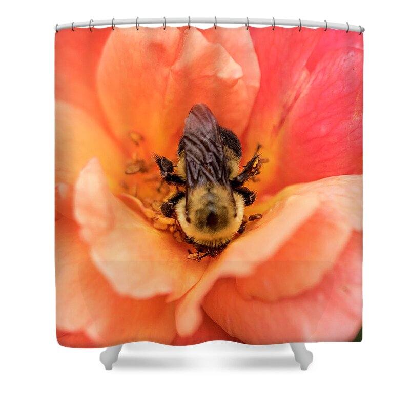 Cathy Donohoue Photography Shower Curtain featuring the photograph The Bee #2 by Cathy Donohoue
