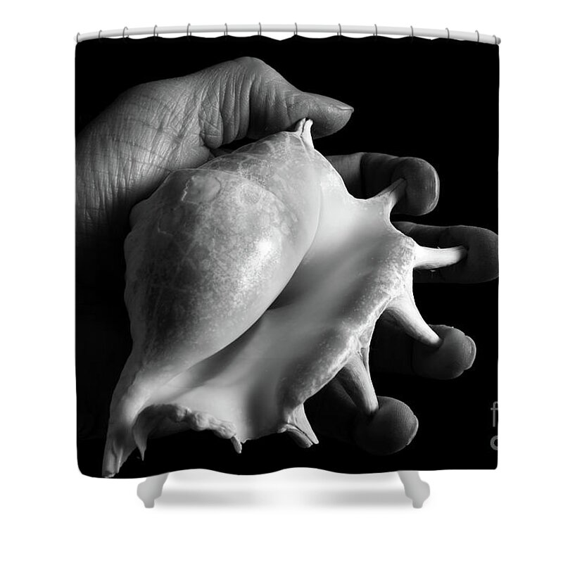 Shell Shower Curtain featuring the photograph Touch Series - shells #2 by Nicholas Burningham