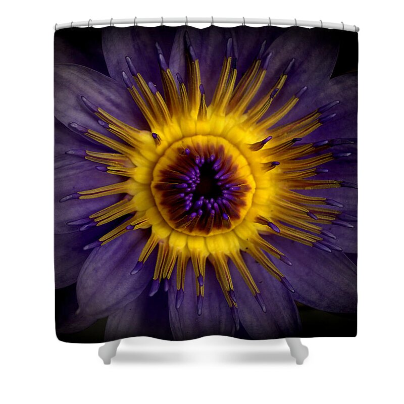 Plant Shower Curtain featuring the photograph Waterlily Flower #2 by Nathan Abbott