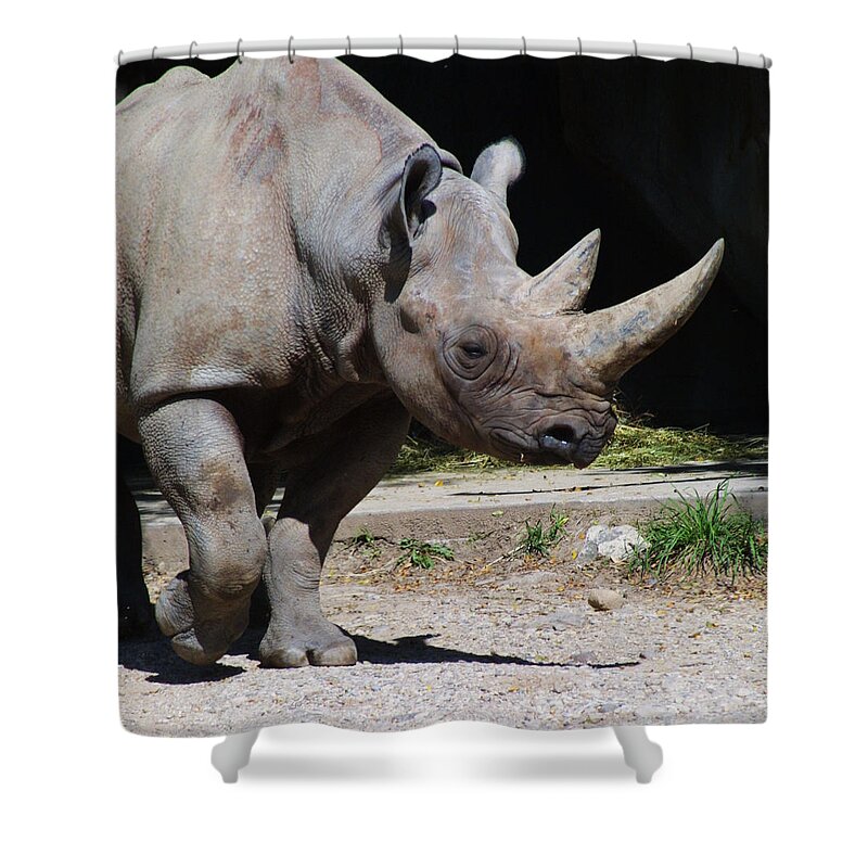 Zoo Shower Curtain featuring the photograph Zoo Scapes #2 by Jean Wolfrum