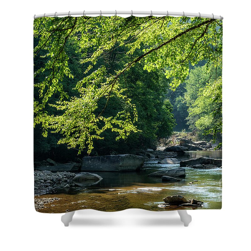 Williams River Shower Curtain featuring the photograph Williams River Summer #20 by Thomas R Fletcher