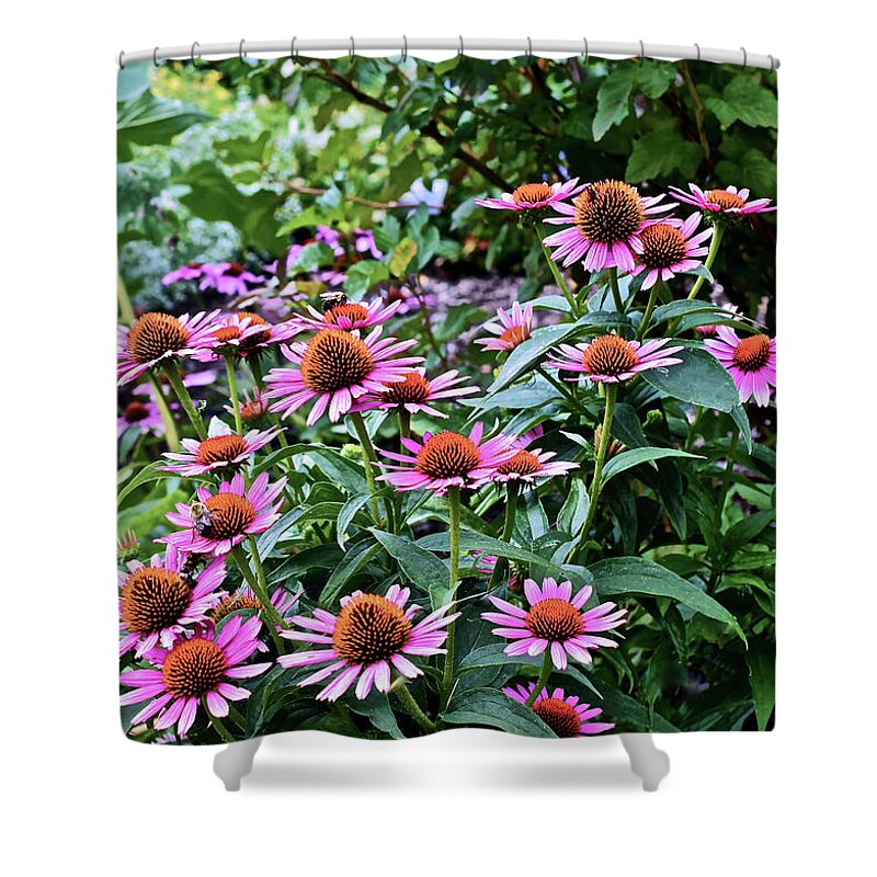 Coneflowers Shower Curtain featuring the photograph 2016 August at the Garden Pink Coneflowers by Janis Senungetuk