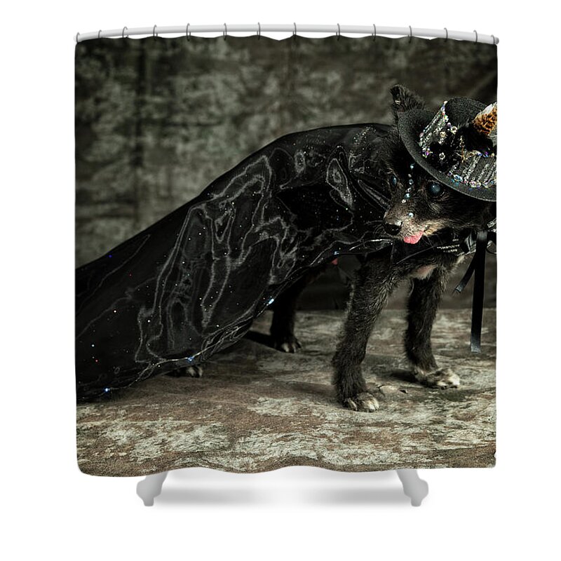 Leonard Shower Curtain featuring the photograph 20170804_ceh1124 by Christopher Holmes