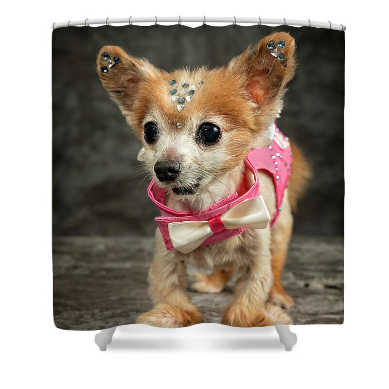 Gizmo Shower Curtain featuring the photograph 20170804_ceh1147 by Christopher Holmes