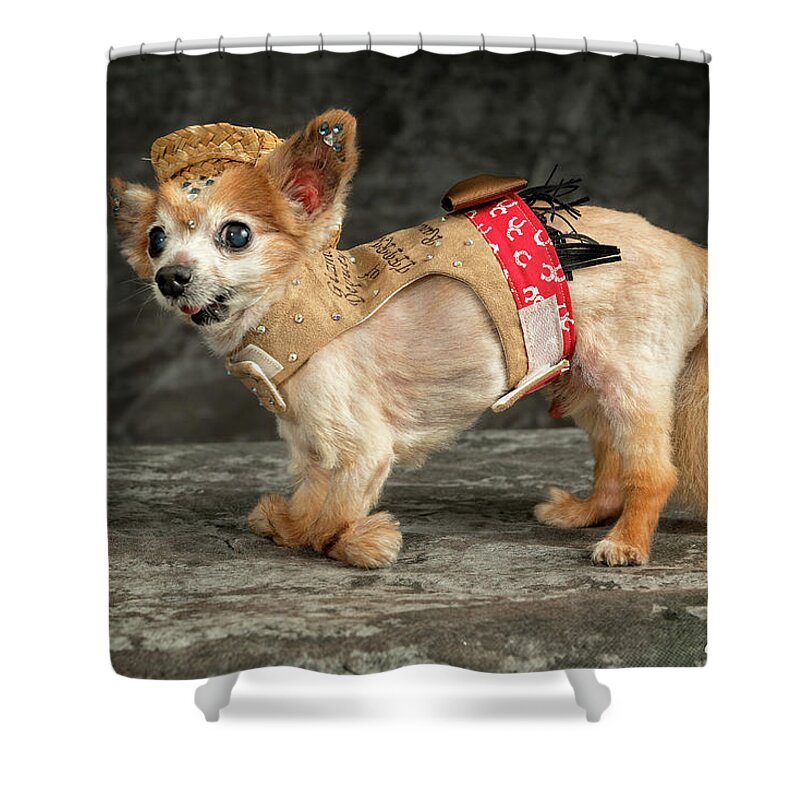 Gizmo Shower Curtain featuring the photograph 20170804_ceh1151 by Christopher Holmes