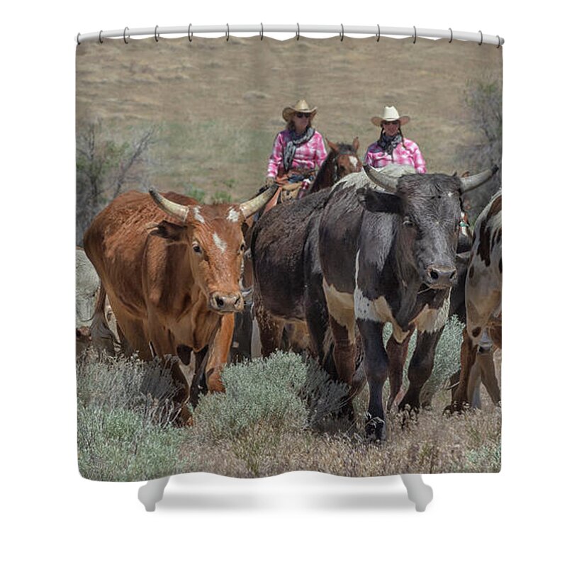 2018 Reno Cattle Drive Shower Curtain featuring the photograph 2018 Reno Cattle Drive 10 by Rick Mosher