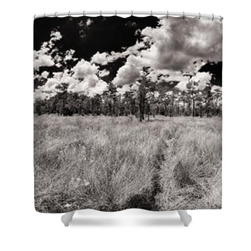 Everglades Shower Curtain featuring the photograph Florida Everglades by Raul Rodriguez