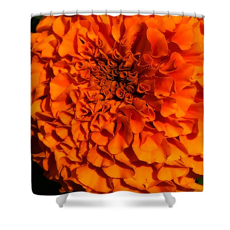 Art Shower Curtain featuring the photograph 22 Aurigae    . by Jeff Iverson