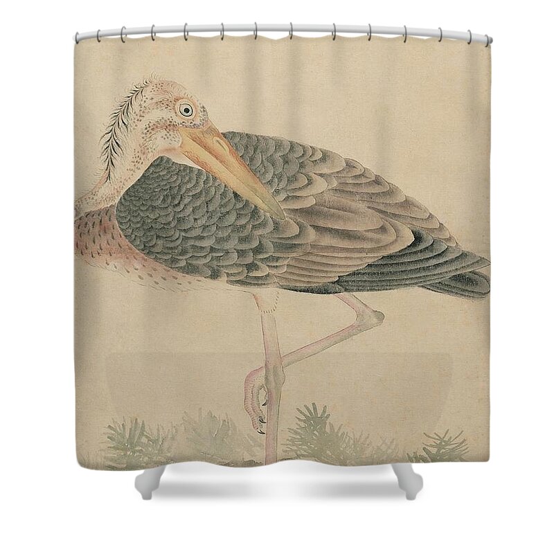  Shower Curtain featuring the painting Birds of Japan in the 19th century #22 by Celestial Images