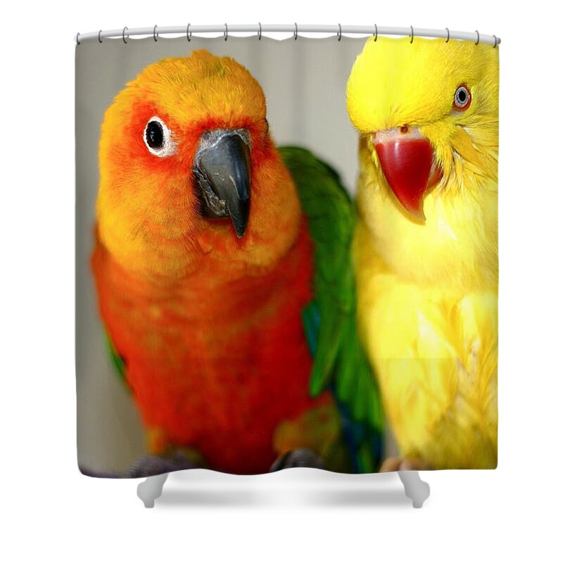 Parrot Shower Curtain featuring the photograph Parrot #22 by Jackie Russo