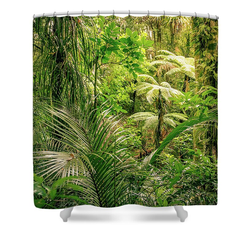 Rain Forest Shower Curtain featuring the photograph Jungle 19 by Les Cunliffe