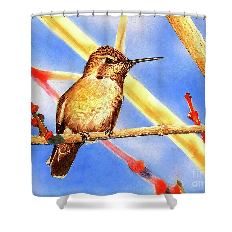 Humming Bird Shower Curtain featuring the painting #235 Hummingbird #235 by William Lum