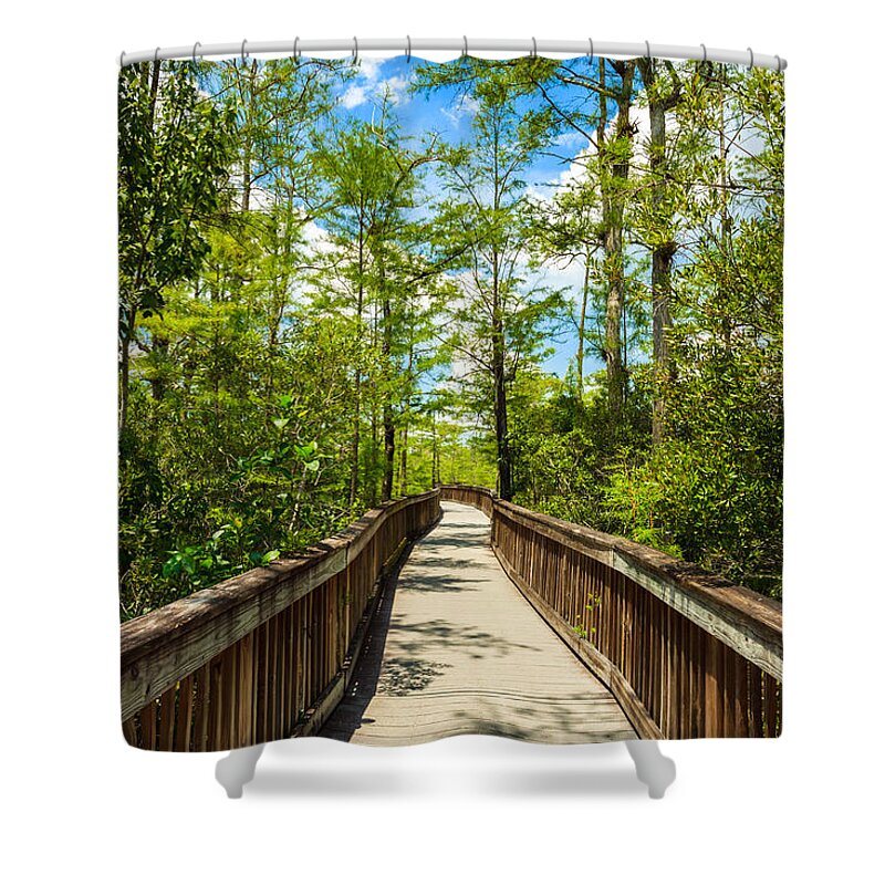 Everglades Shower Curtain featuring the photograph Florida Everglades #24 by Raul Rodriguez