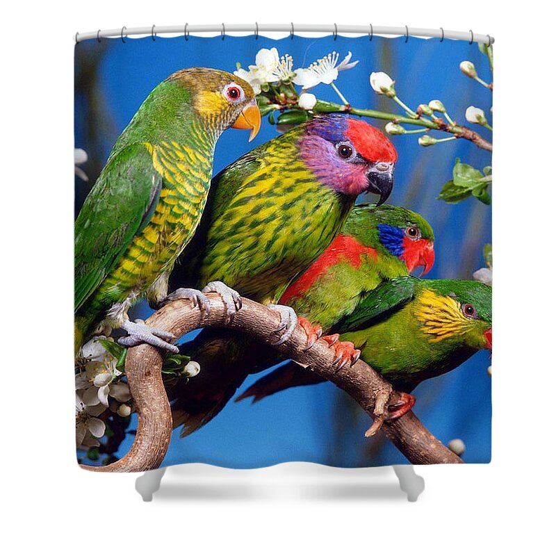 Parrot Shower Curtain featuring the photograph Parrot #25 by Jackie Russo