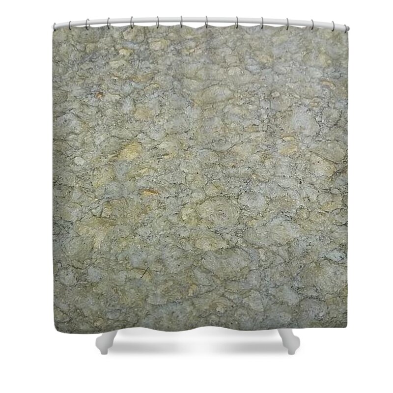 Close Up Shower Curtain featuring the photograph Close Up #26 by Mariel Mcmeeking