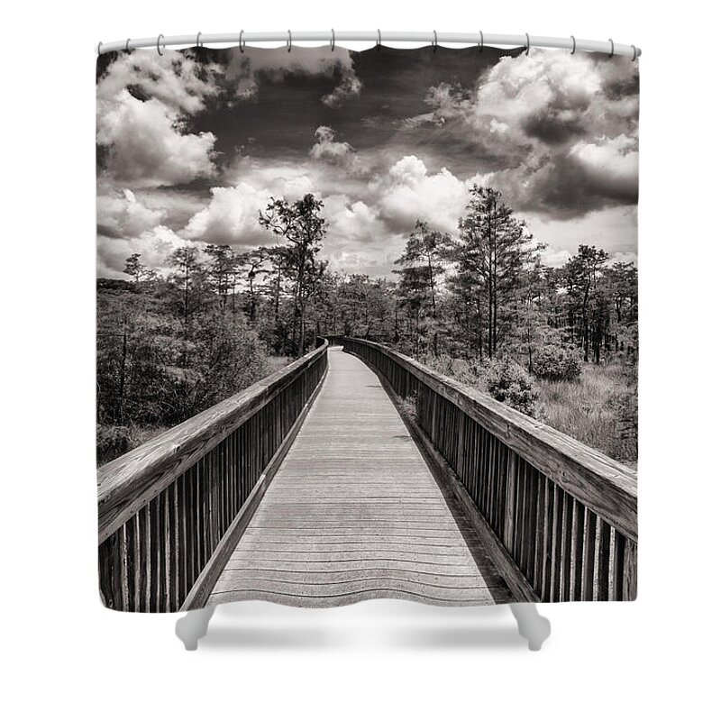 Everglades Shower Curtain featuring the photograph Florida Everglades #26 by Raul Rodriguez